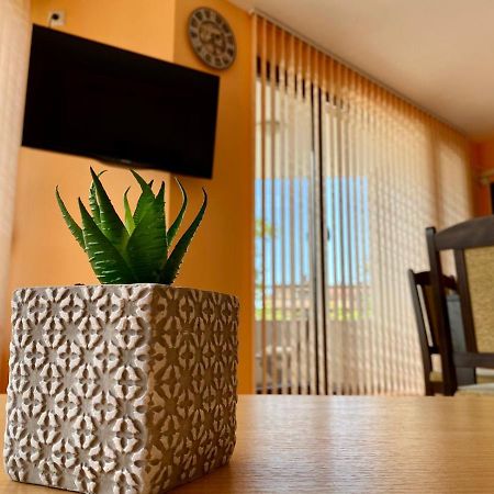 Cozy Apartment In The Center Of Primorsko Exteriér fotografie